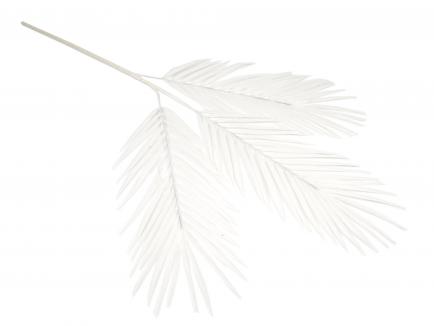 Palmės lapas baltas
