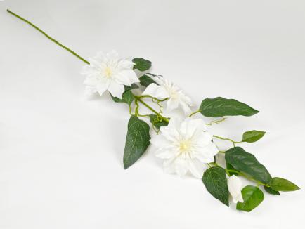 Raganė