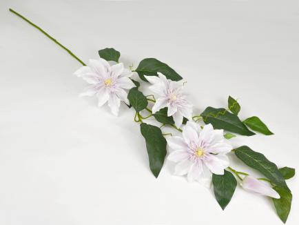 Raganė