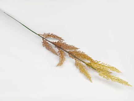 Looks dried - smilga