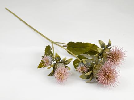Dygioji usnis