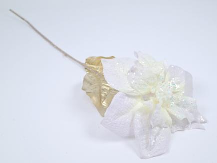 Velvetinė puansetija