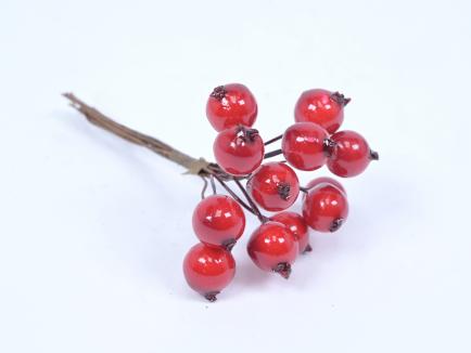 Uogos raudonos 