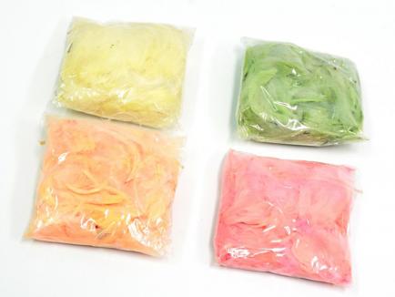 Plunksnos 10g.