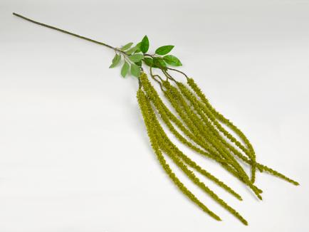 Dirbtinis amarantas 