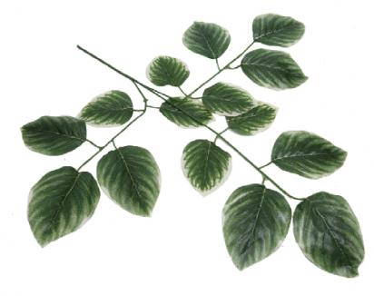 Dirbtiniai lapai
