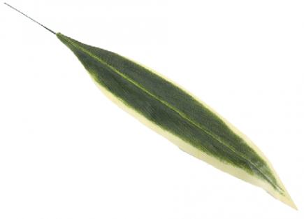 Dirbtiniai lapai