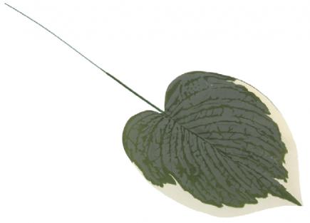 Dirbtiniai lapai