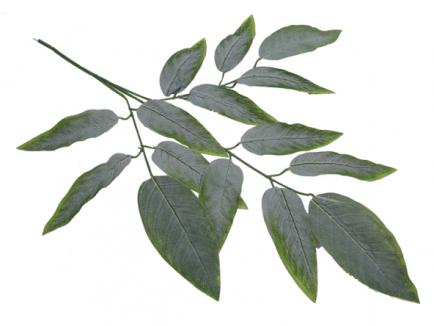 Dirbtiniai lapai