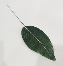 Dirbtiniai lapai