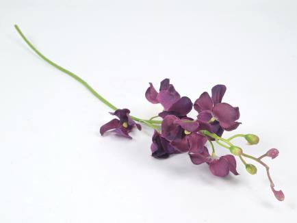 Smulkiažiedė orchidėja
