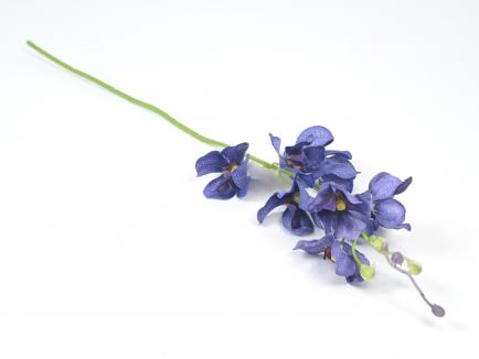 Smulkiažiedė orchidėja