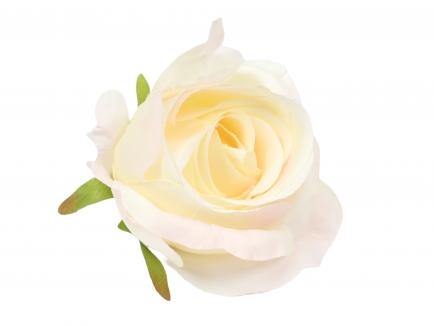 Rose heads