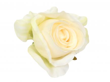 Rose heads