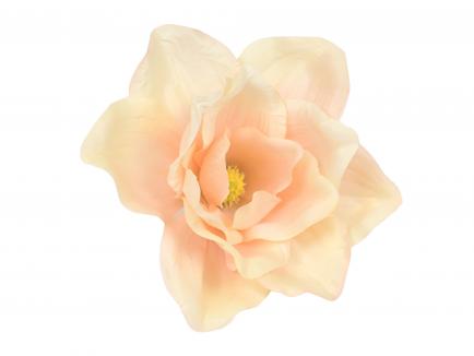 Magnolijos žiedas CH.PK