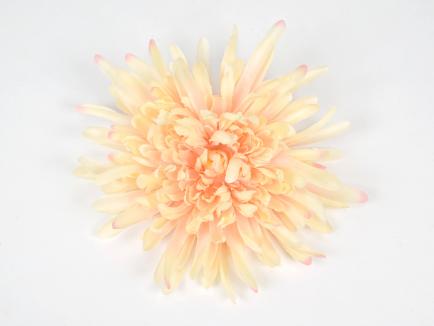 Chrizantemos žiedas PEACH