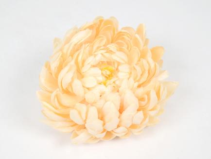 Chrizantemos žiedas PEACH