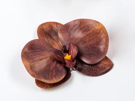 Orchidėjos žiedas latex