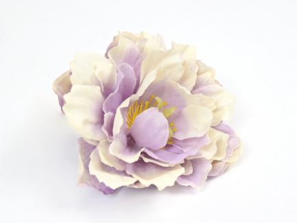 Kinrožės žiedas violet