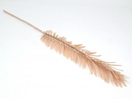 Palmės lapas
