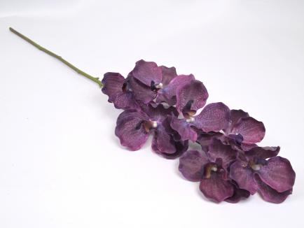 Orchidėja lateksinė