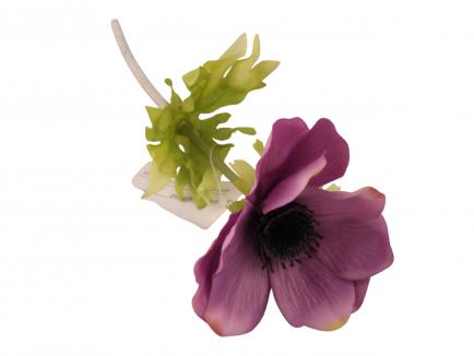 Anemonas