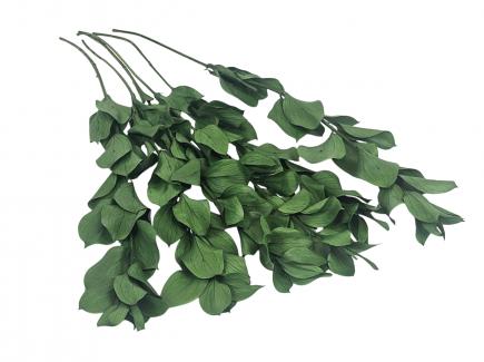 Stabilizuota žaluma
