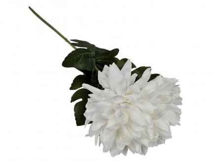 Chrizantema