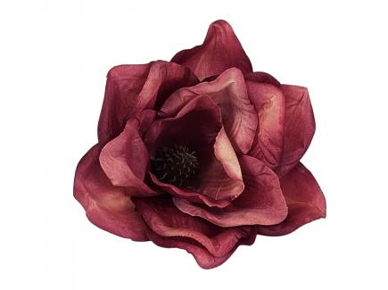 Magnolijos žiedas MA.PK