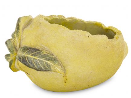 Cementinis vazonas