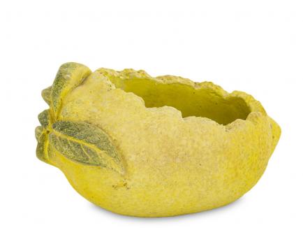 Cementinis vazonas