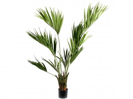 Palmė