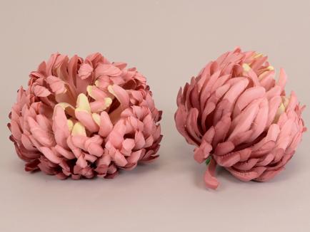 Chrizantemos žiedas-13