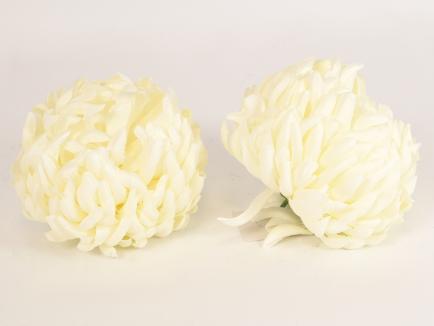 Chrizantemos žiedas-2