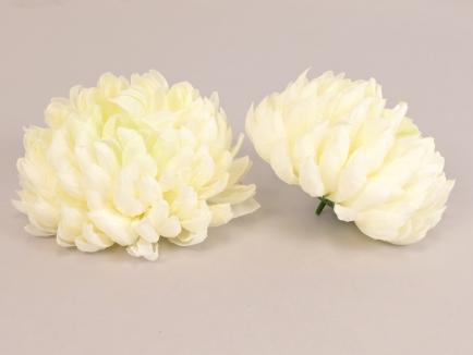 Chrizantemos žiedas