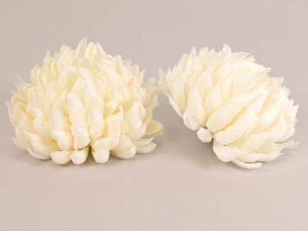 Chrizantemos žiedas