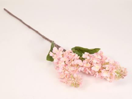 Alyvos šaka (a real touch) PK