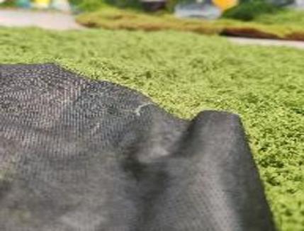 Samamų kilimas LTGR