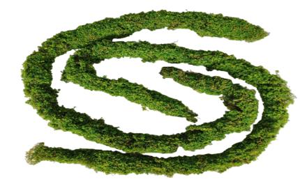 Atogrąžų miško vijoklis