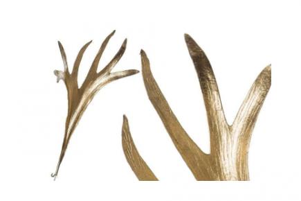 Dirbtinė žaluma- elniaragis