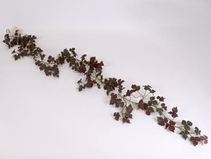 Kabanti žaluma RDGR