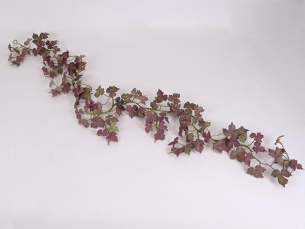 Kabanti žaluma PUGR