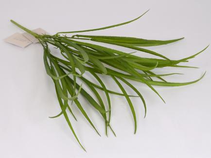 Dirbtinės žalumos krūmelis 