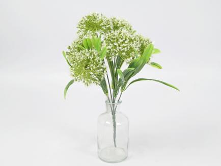 Česnakų puokštelė