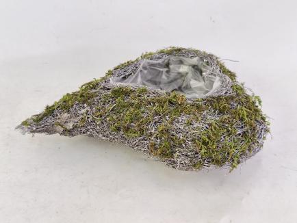 Pinta širdis samanota balinta