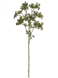 Uogų šakelė OLIVE