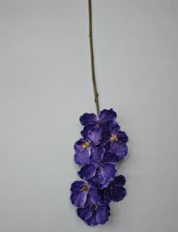 Orchidėja lateksinė