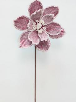 Kalėdinė magnolija VELVET Antique Pink