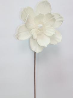 Kalėdinė magnolija VELVET Ivory