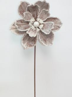 Kalėdinė magnolija VELVET Champagne  Brown